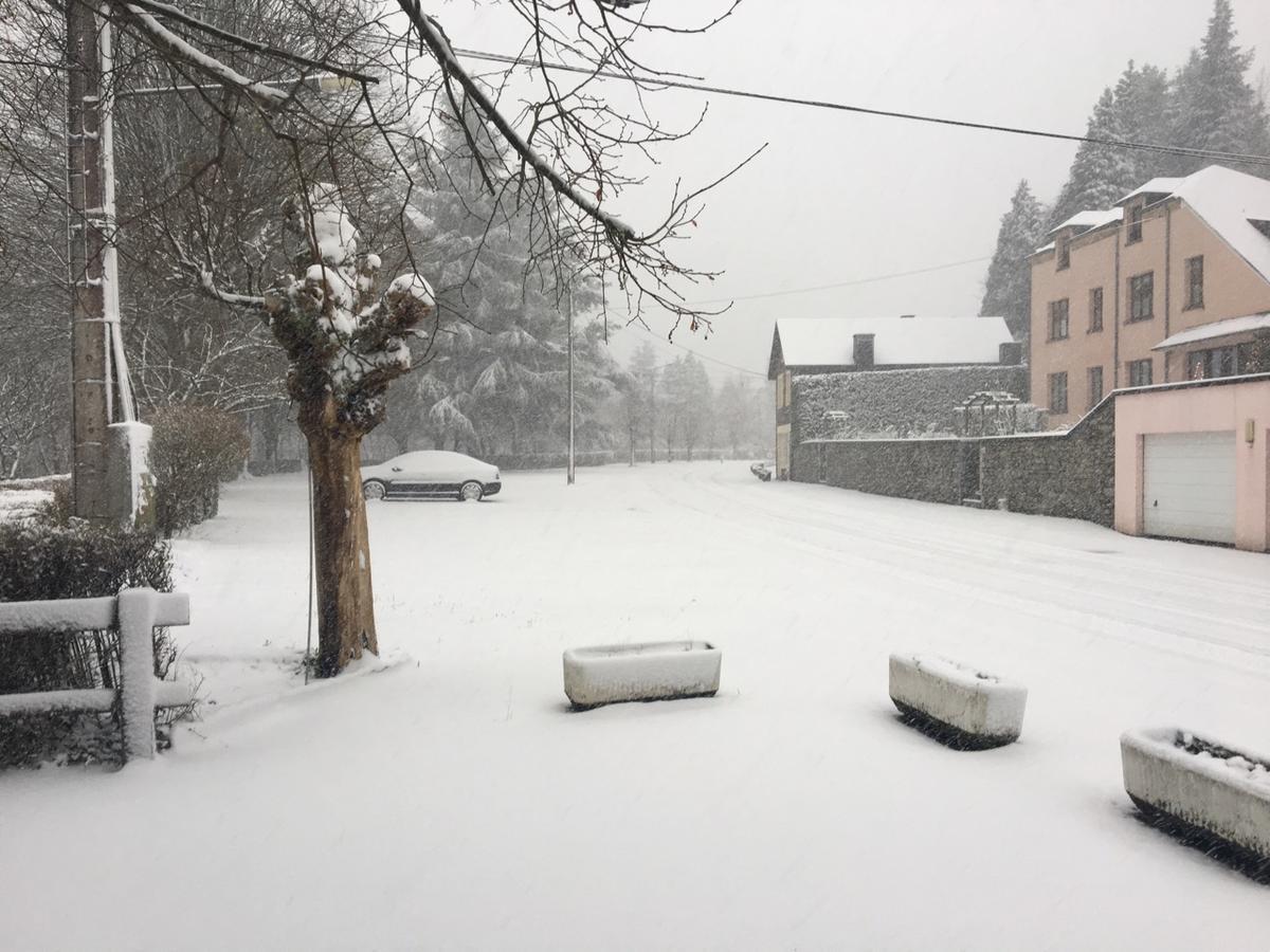 Hotel Des Roches Vresse-sur-Semois Kültér fotó